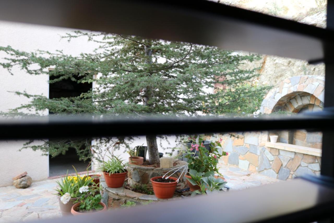 Georgiou Villa In Action Pelendri Exterior foto